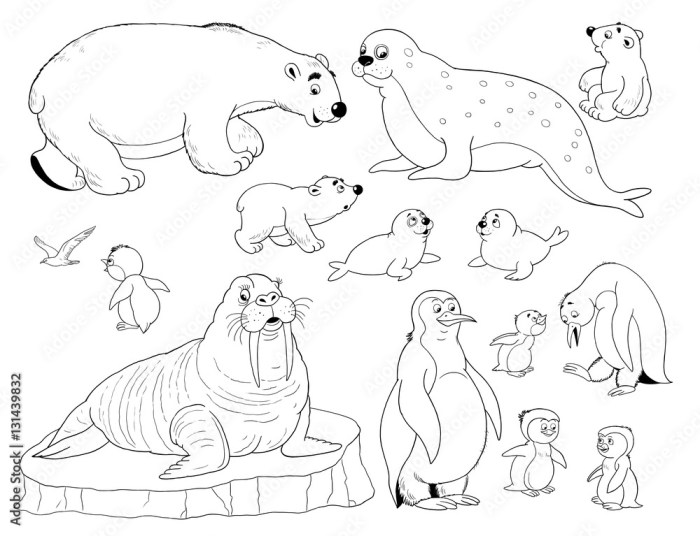 Find the arctic animal habitats coloring