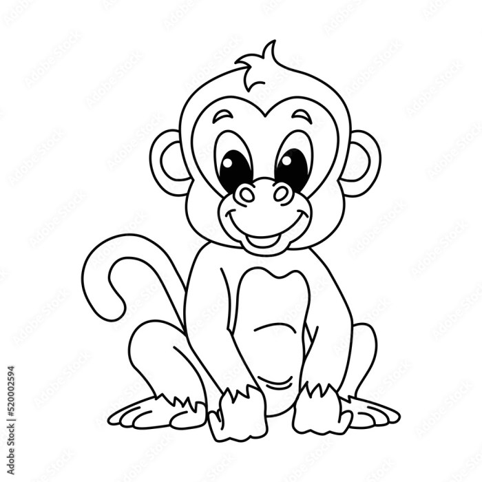 Coloring book pictures of monkeys