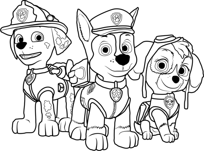 Crayola paw patrol coloring book