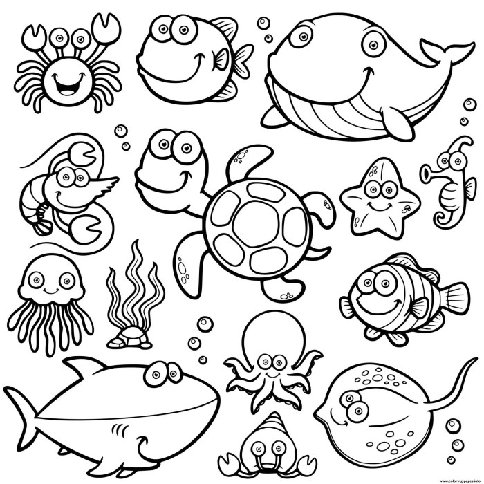 Detailed coloring pages of sea animals