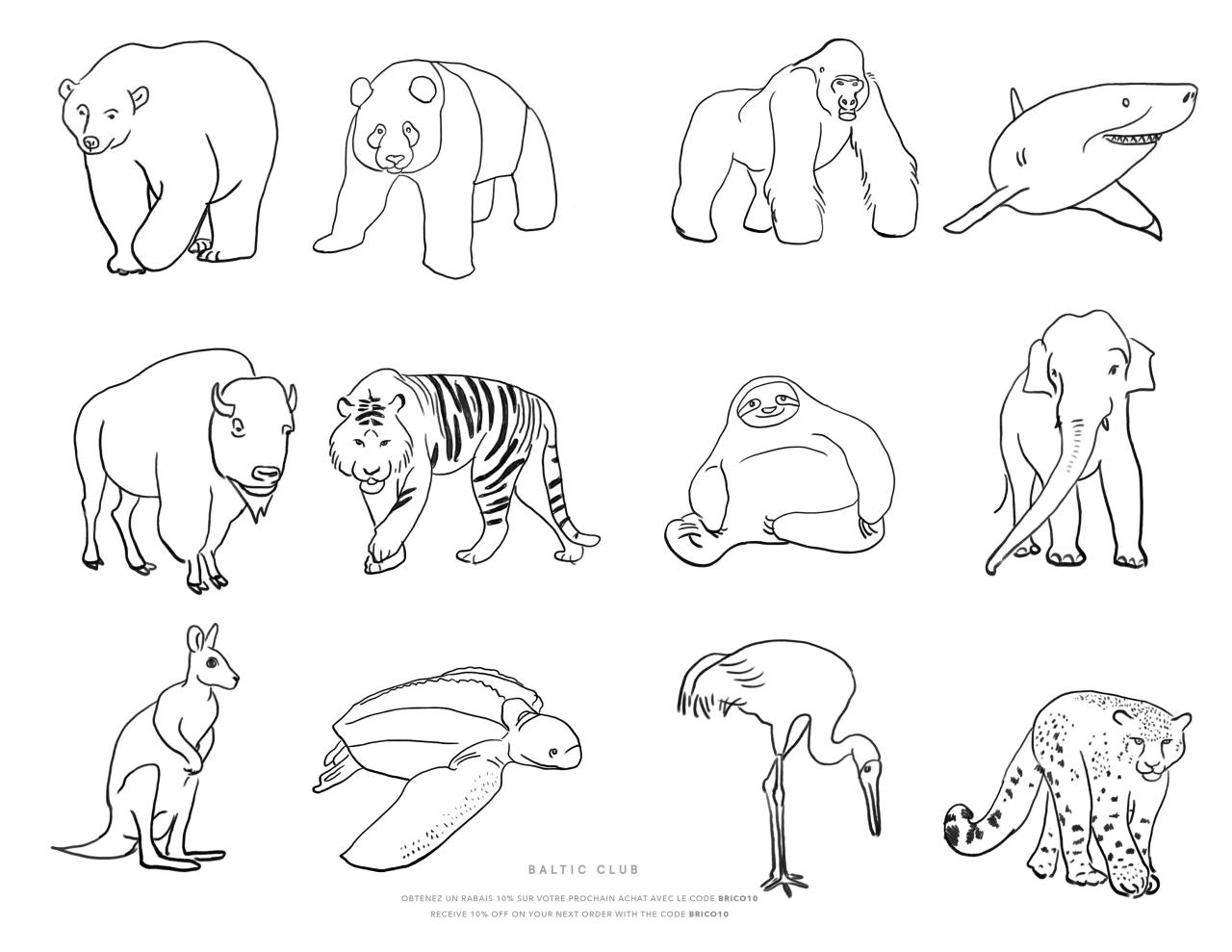 Free endangered animals coloring pages