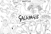 Galapagos island animals coloring pages