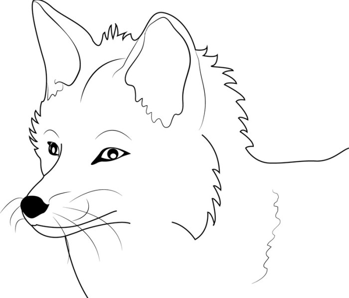 Free coloring pages animals fox