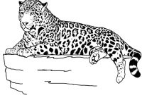 Coloring pages of a jaguar animal