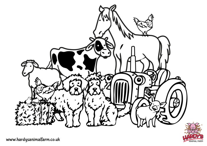 Farm animals to coloring