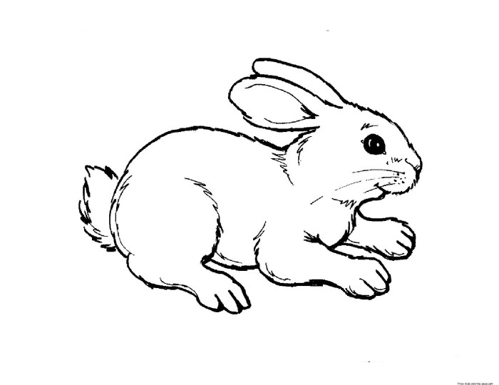 Cute free coloring pages animals