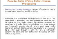 Definition of false coloring in animals