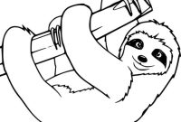 Coach sloth magic coloring book