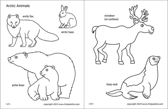 Find the arctic animal habitats coloring