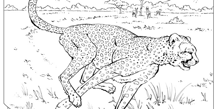 Animal coloring pages not cartoon