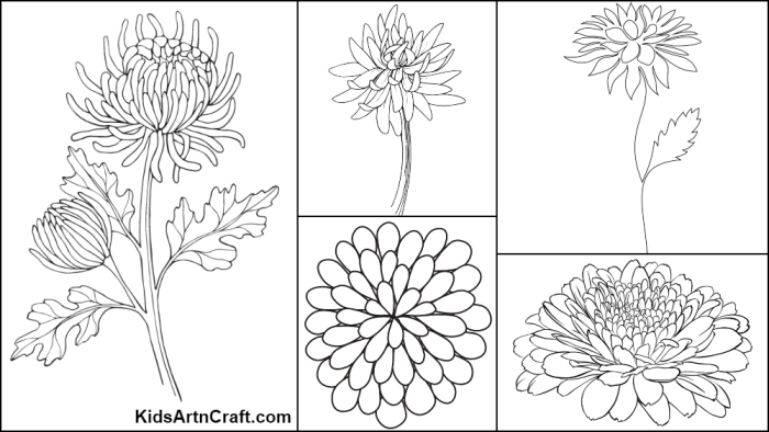 Chrysanthemum book coloring pages