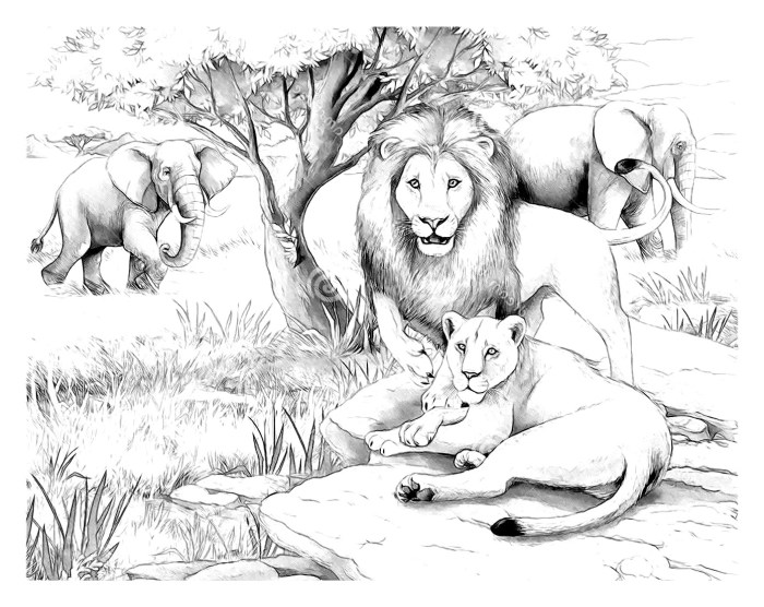 Africa animals coloring sheet