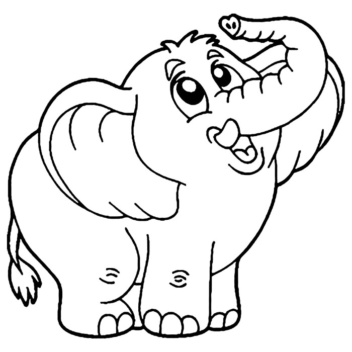 Elephant animal coloring pages