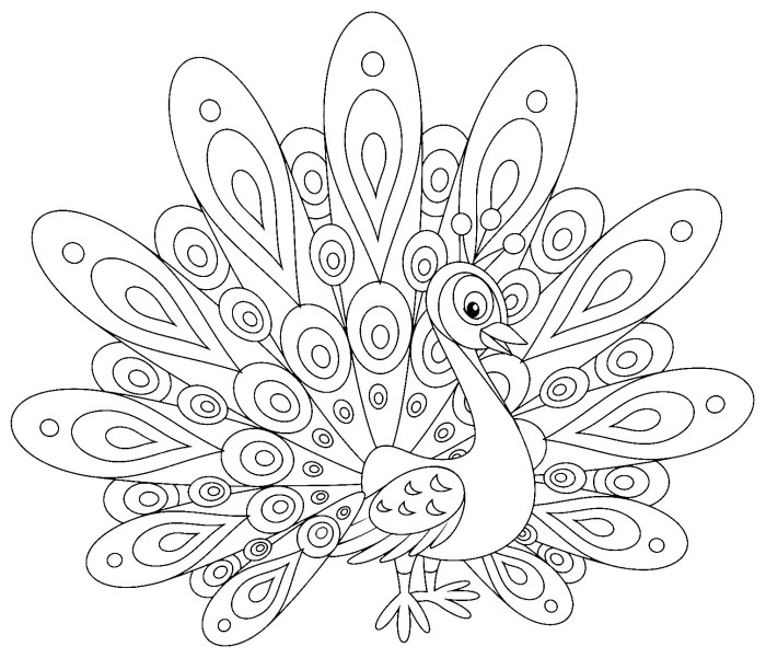 Coloring peacocks kids color pages printable print children animals