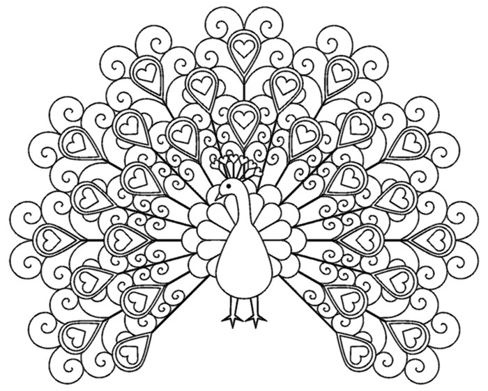 Easy peacocks animals coloring pages for kids