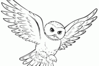 Cute coloring pages of animated owls