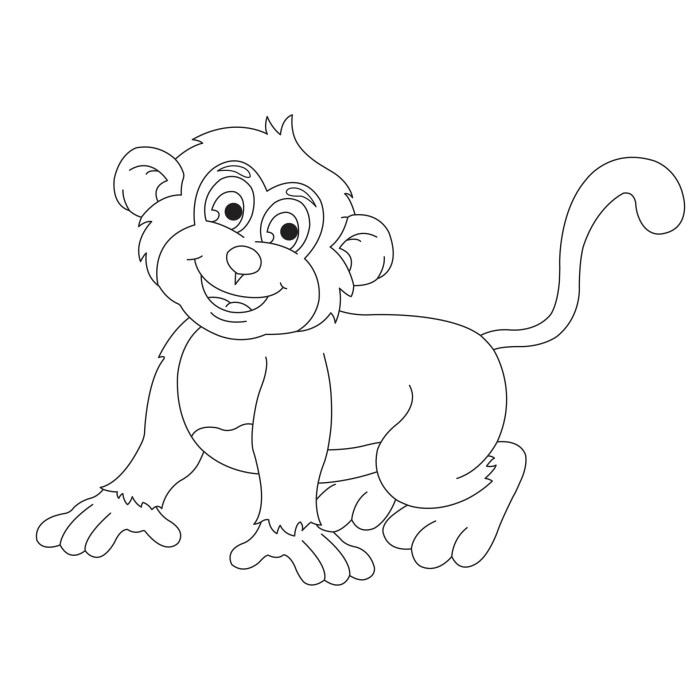 Coloring book pictures of monkeys