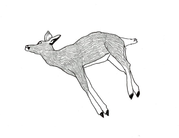 Dead animal coloring page