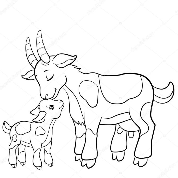 Farm animal coloring pages goat