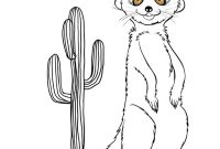 Desert animal coloring pages free