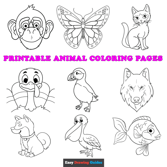 Real life animal coloring pages