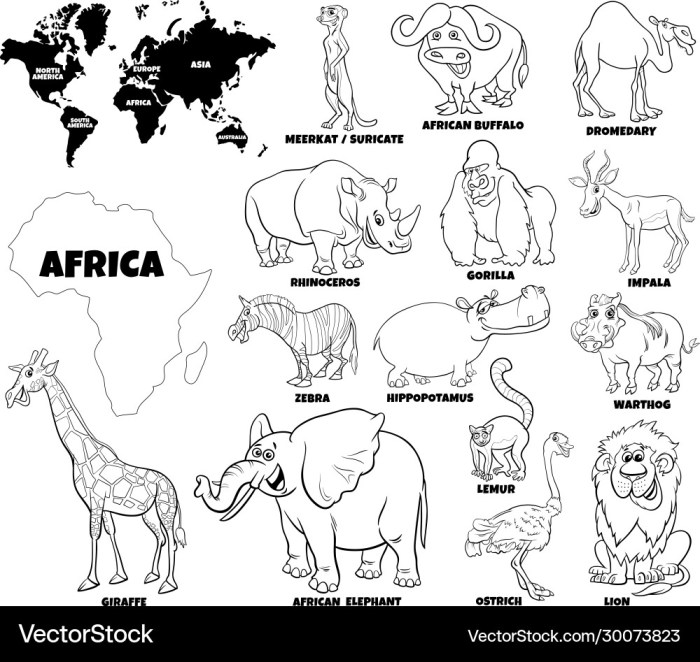 Coloring pages printable animals animal sheets wild colouring kids animaux picture big hellokids ws parrot school first african