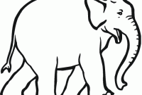 Elephant animal coloring pages