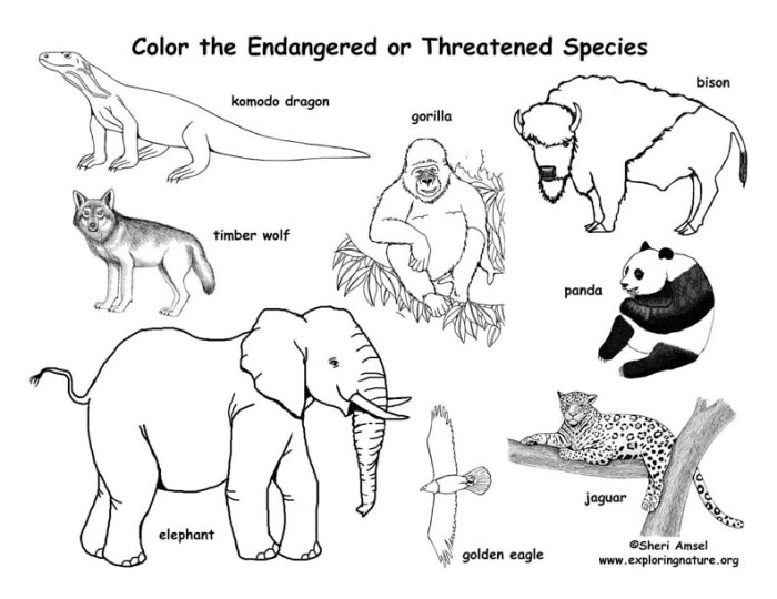 Endangered animals printable coloring pages