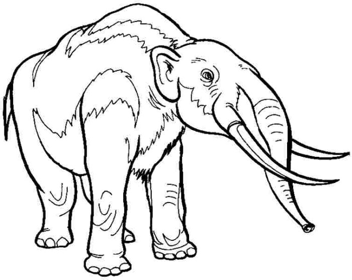 Extinct animal coloring pages