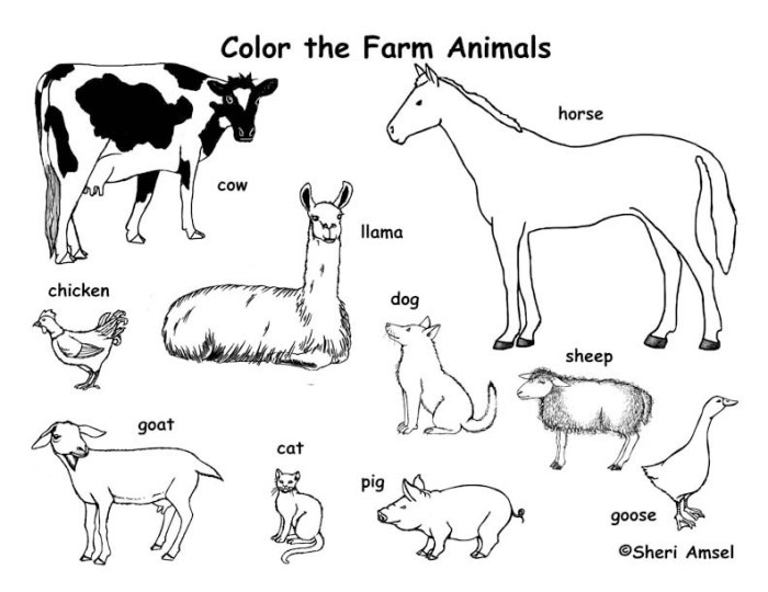 Farm animals coloring pdf