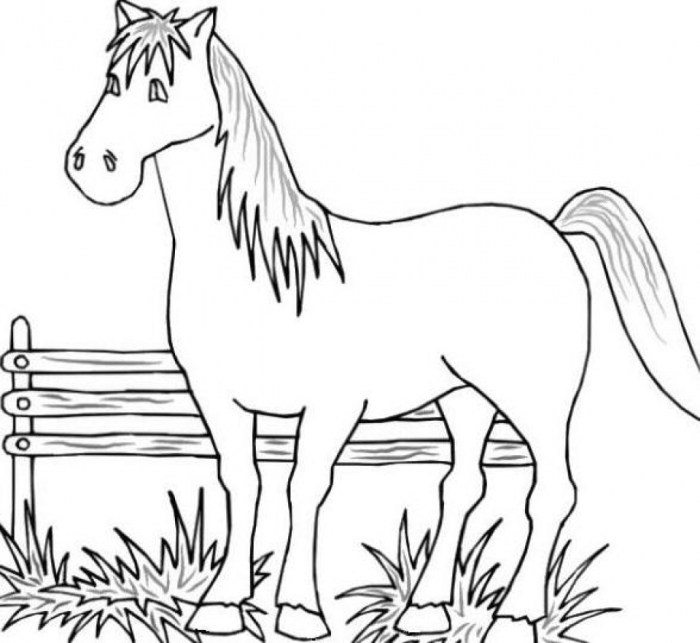 Free printable coloring sheets of farm animals