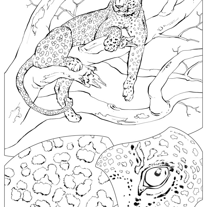 Free animal camouflage coloring pages