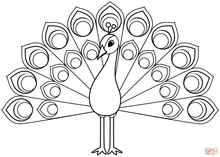 Easy peacocks animals coloring pages for kids