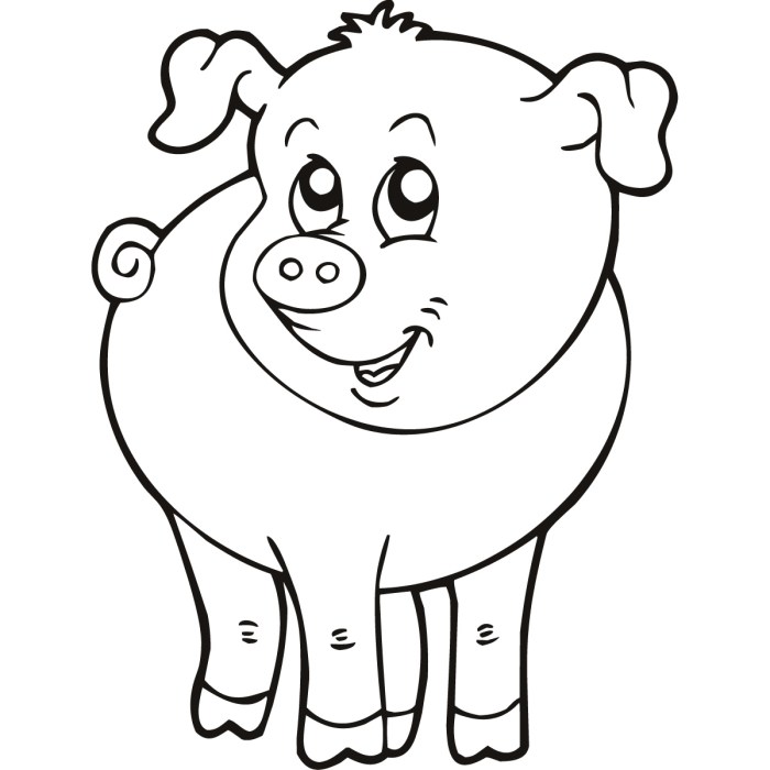 Farm animals to coloring