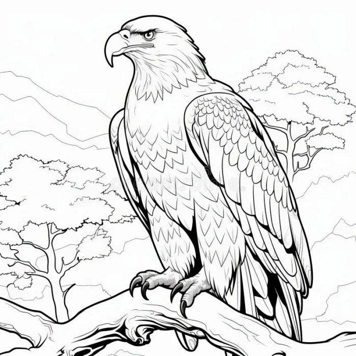 Animal coloring pages not cartoon