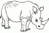 Free safari animal coloring pages