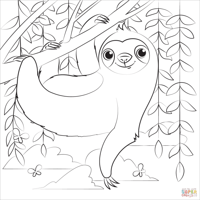 Coach sloth magic coloring book