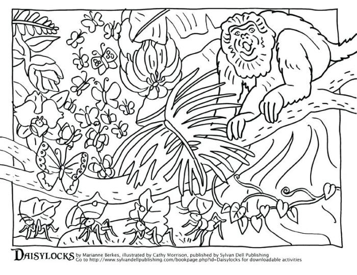 Free printables coloring pages animals camouflage